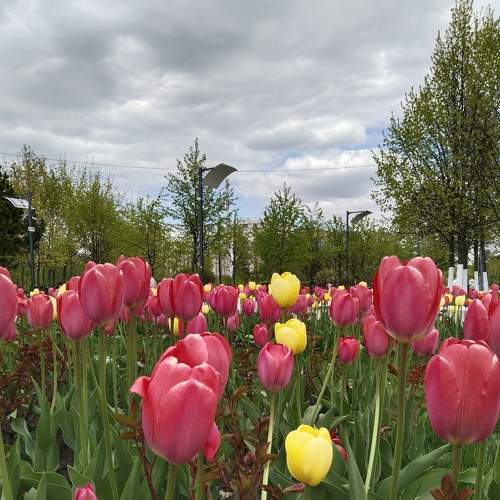 Photo #9113579