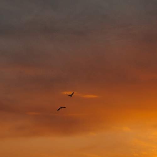 Photo #9113704