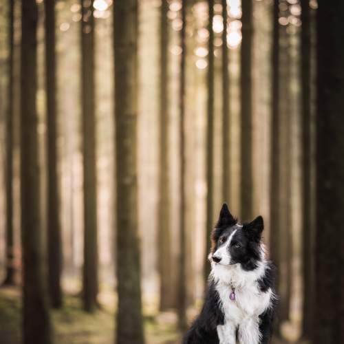 Photo #9113843