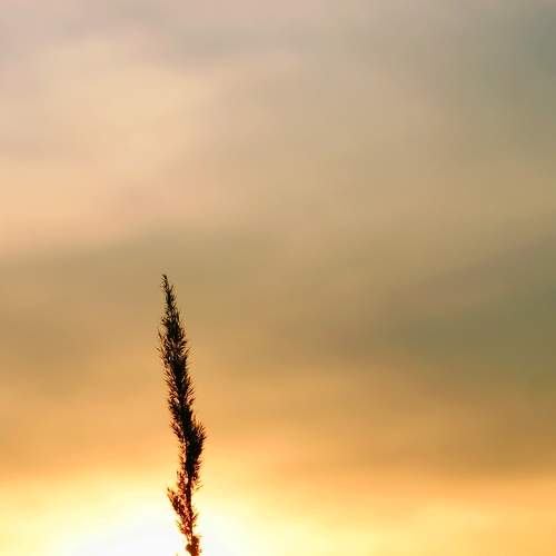 Photo #9113899