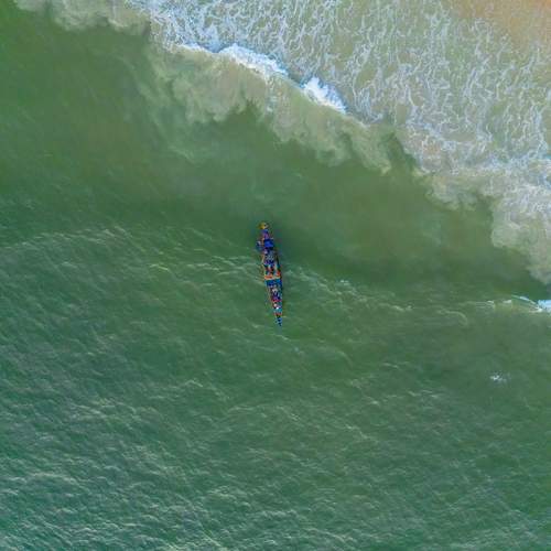 Photo #9114042