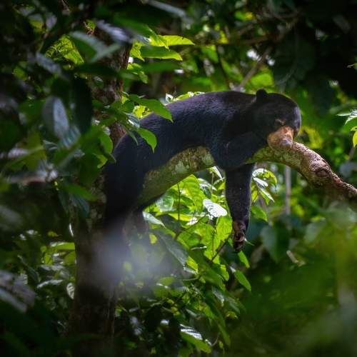 Photo #9114070