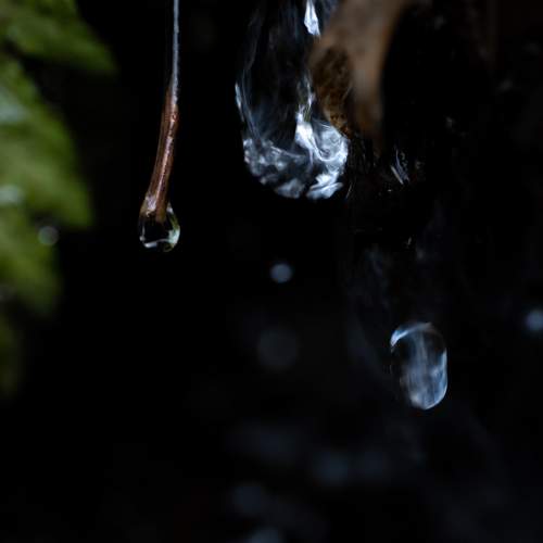 Photo #9114123