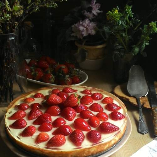 Photo #9114437