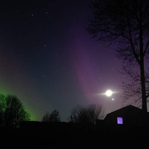 Photo #9114492