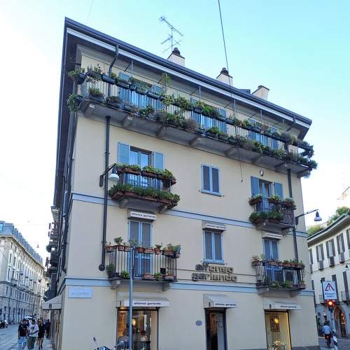 Photo #9114540
