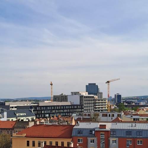 Photo #9114570