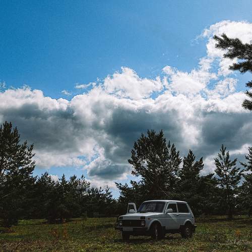 Photo #9115171