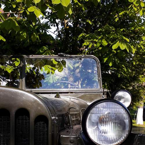 Photo #9115443