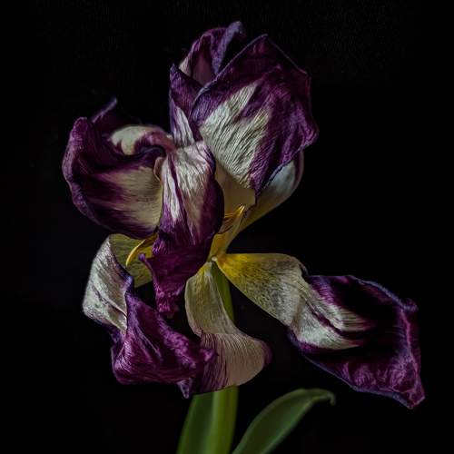 Photo #9115838