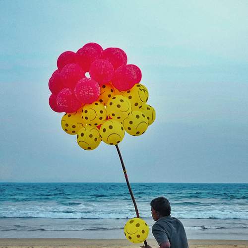 Photo #9115955