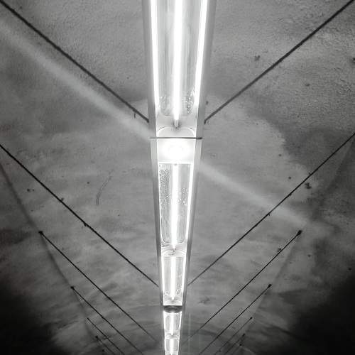 Photo #9116841
