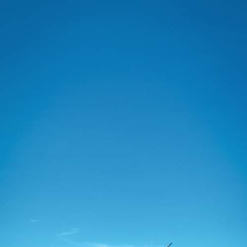 Photo #9117966