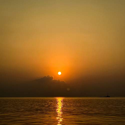 Photo #9118242