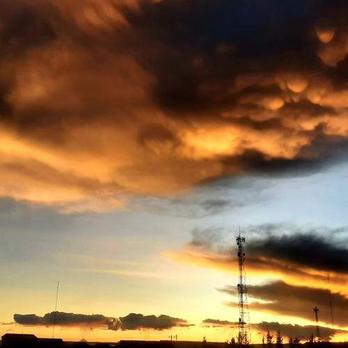 Photo #9118959