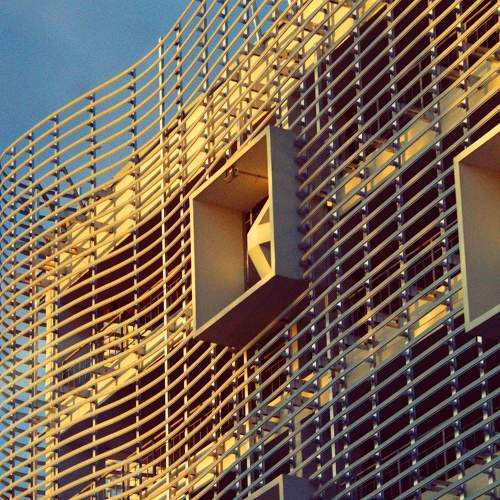 Photo #9119583