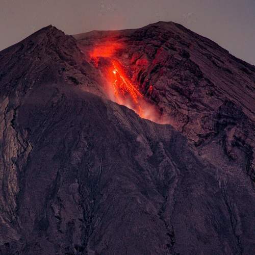 Photo #9119671