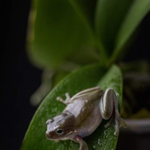 Photo #9119875