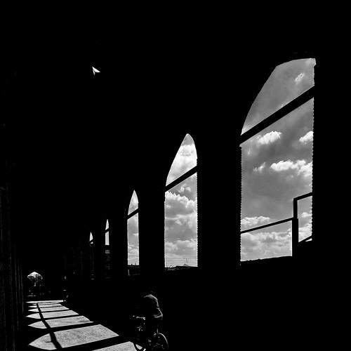Photo #9119963