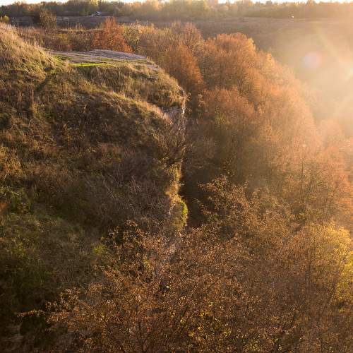 Photo #9120232