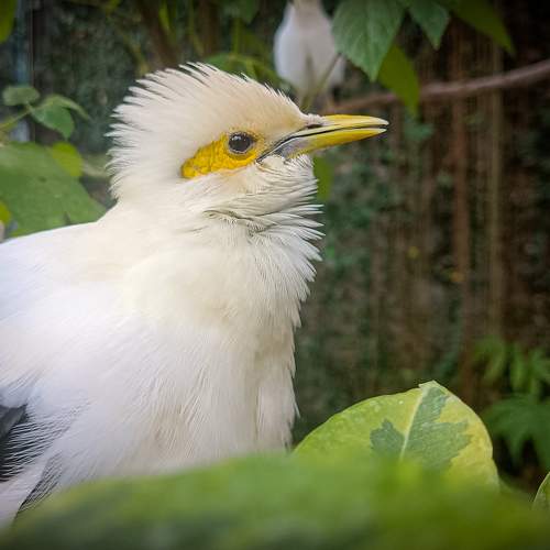 Photo #9120268