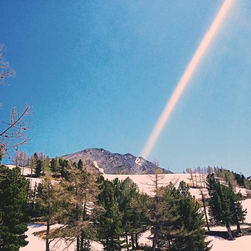 Photo #9120607