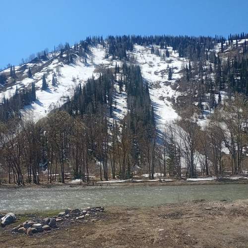 Photo #9120609