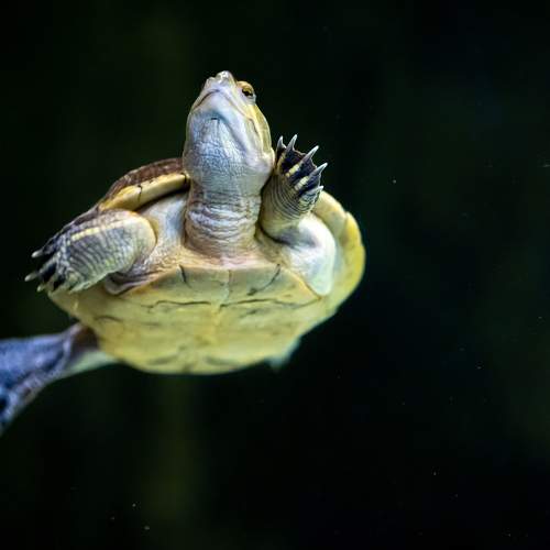 Photo #9120642