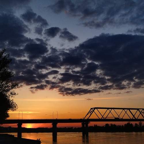 Photo #9121946