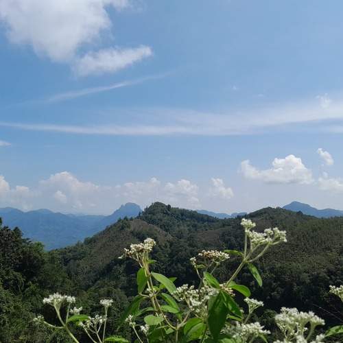 Mountain Lines