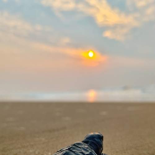 Photo #9122152