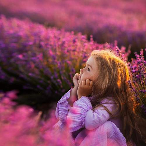 Photo #9122624