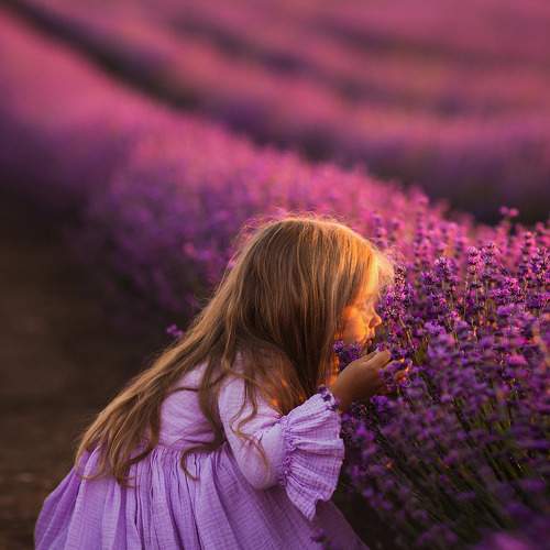 Photo #9122625