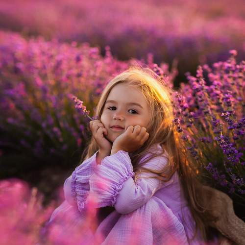 Photo #9122627