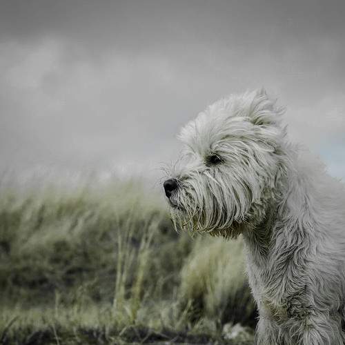 Photo #9122980