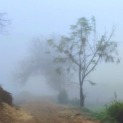 Photo #9123023