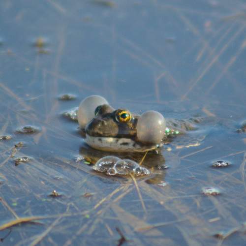 Photo #9123281