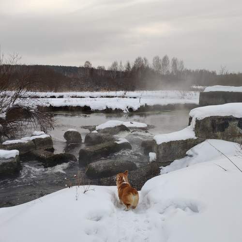 Photo #9123677