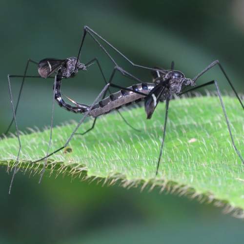 Фотография #9124327