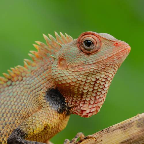 Photo #9125008