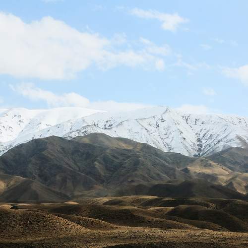 Photo #9126162