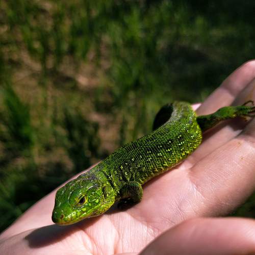 Photo #9126522