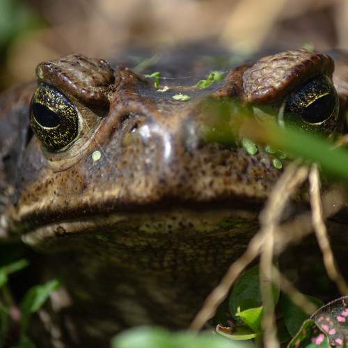 Photo #9127394