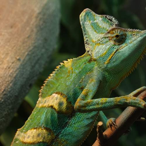 Photo #9127474