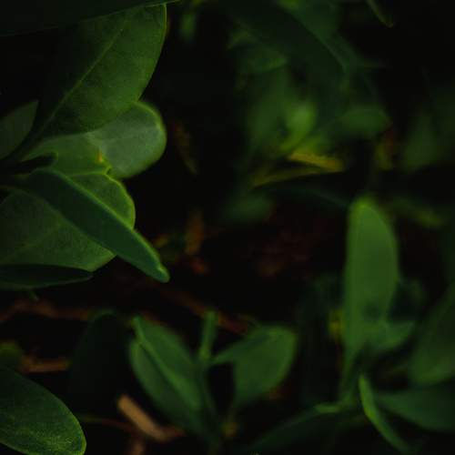 Photo #9127537