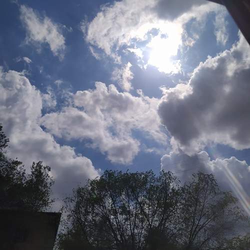 Photo #9127663