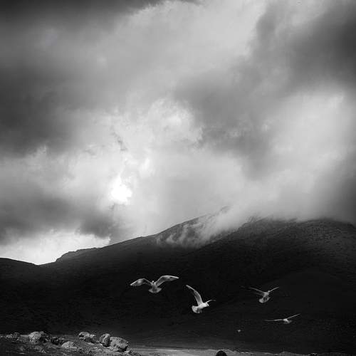 Photo #9127751