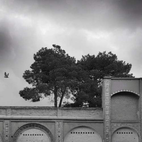 Photo #9127758