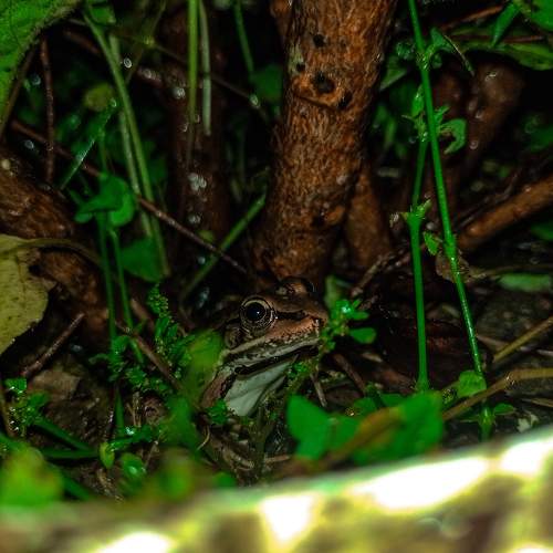 Photo #9127871