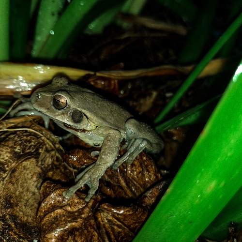Photo #9127874